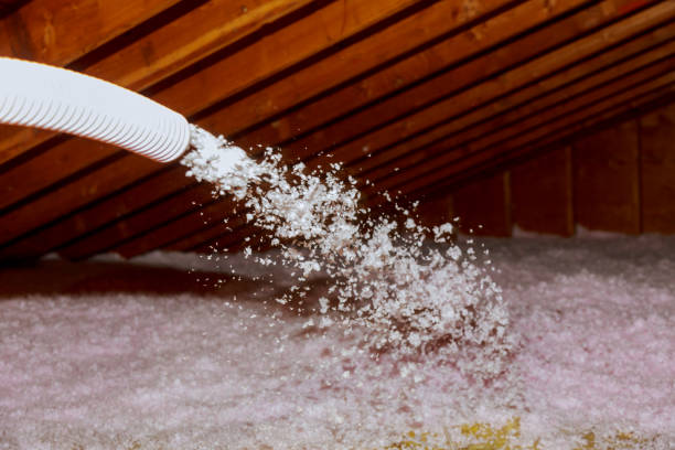 Insulation Inspection Services in Magnolia, MS