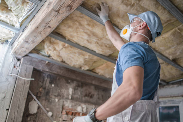 Trusted Magnolia, MS Insulation Contractor Experts