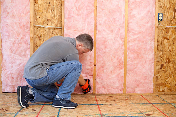 Insulation Contractors for Homes in Magnolia, MS