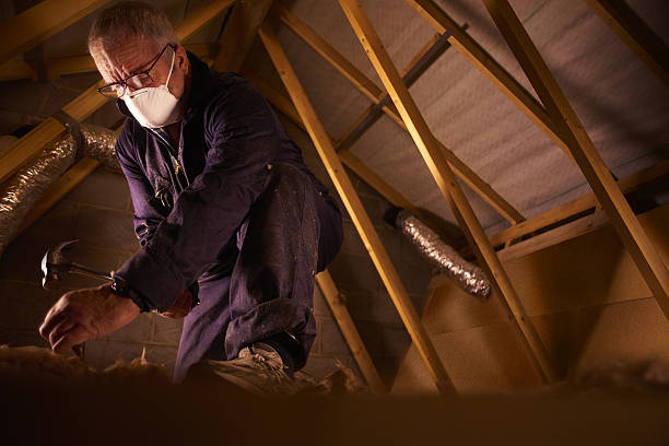 Best Cellulose Insulation  in Magnolia, MS